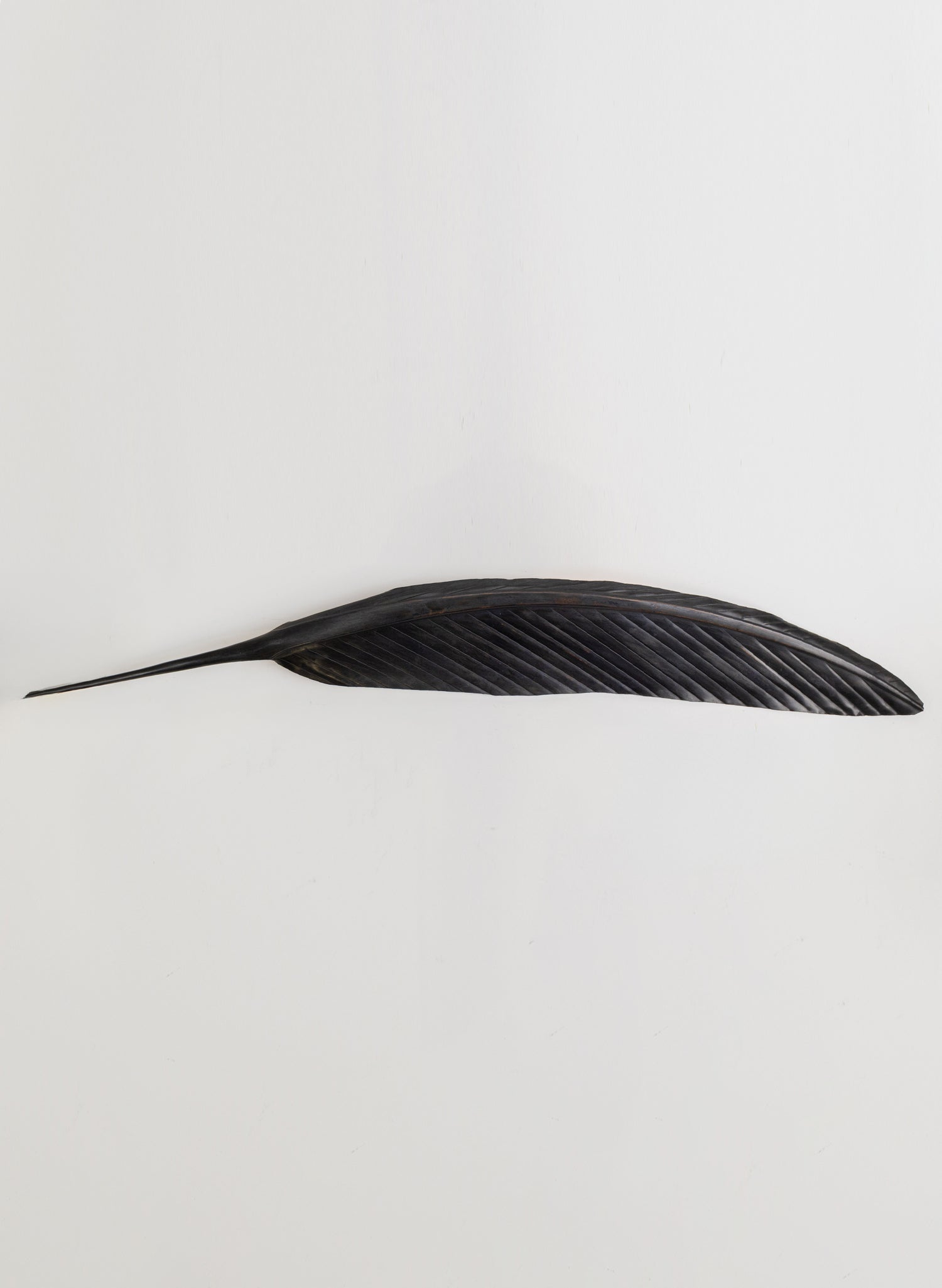 Tui Copper Feather 950mm