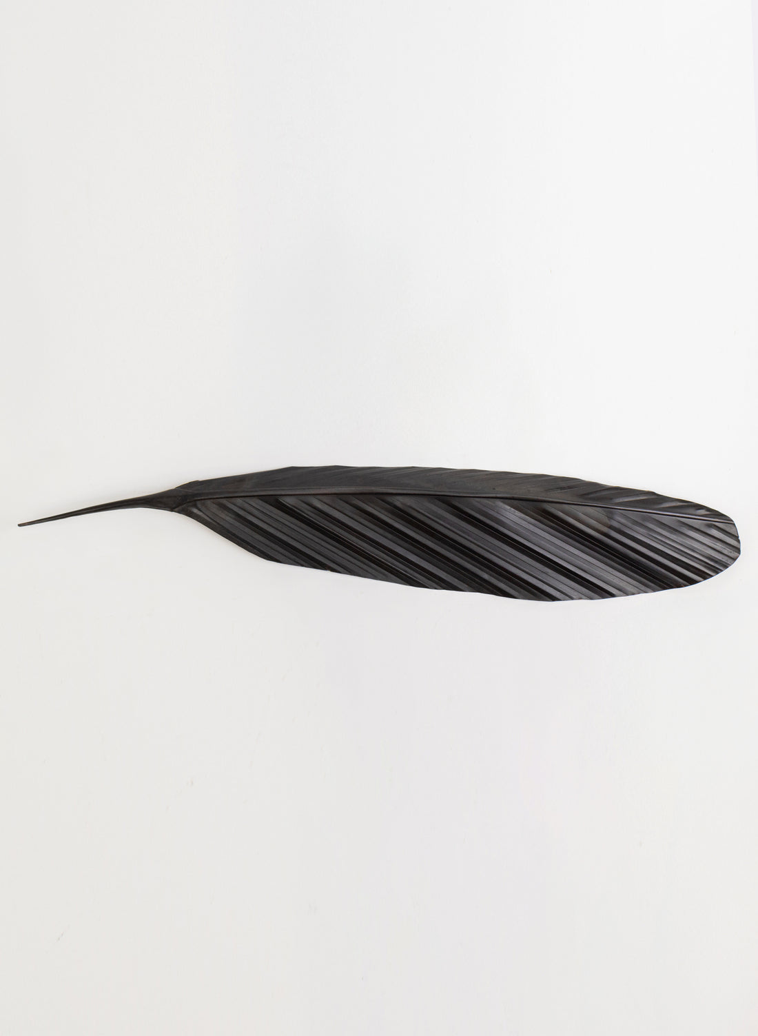 Tui Copper Feather 765mm