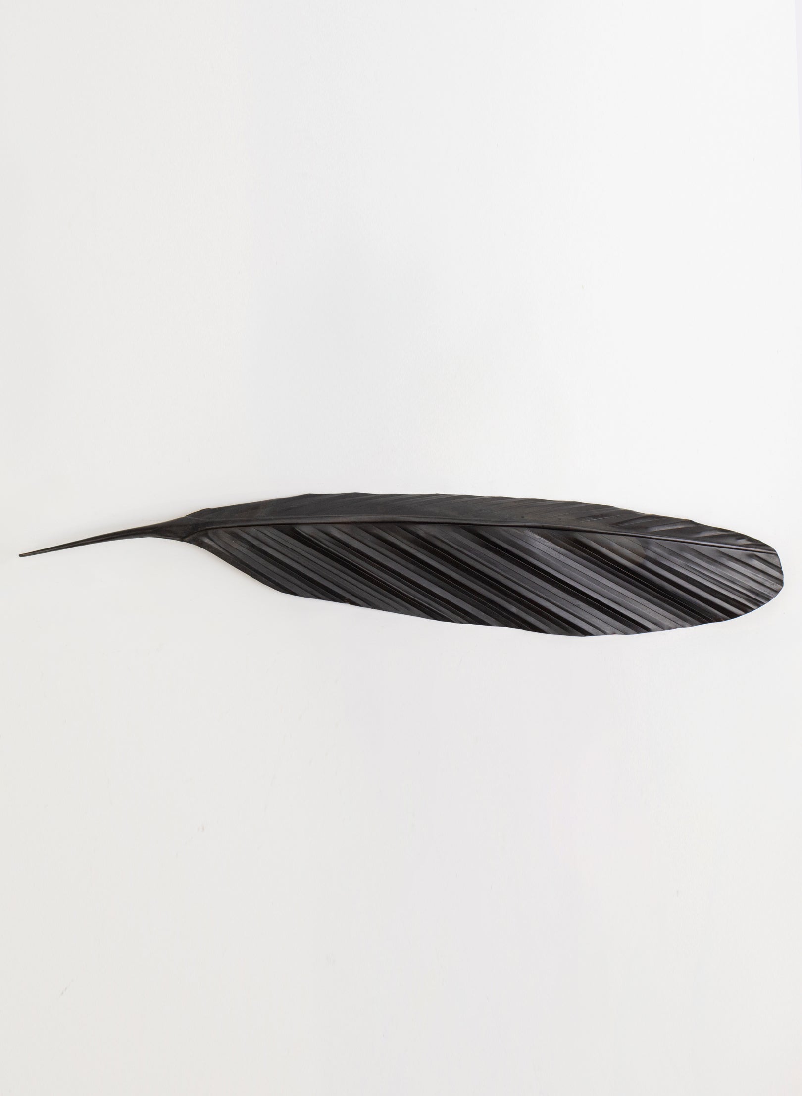 Tui Copper Feather 765mm