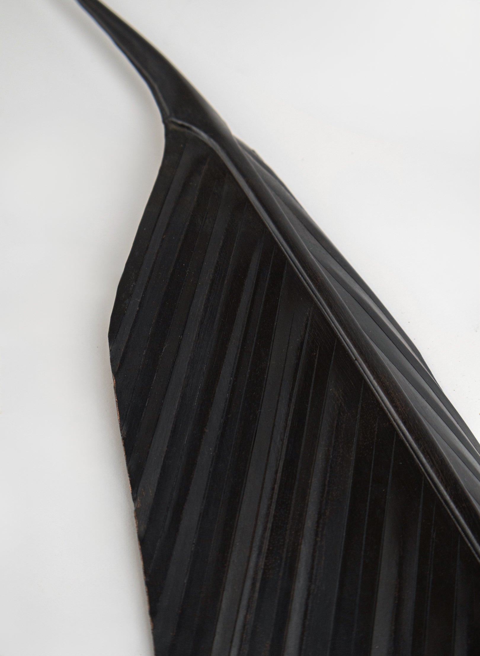 Tui Copper Feather 765mm