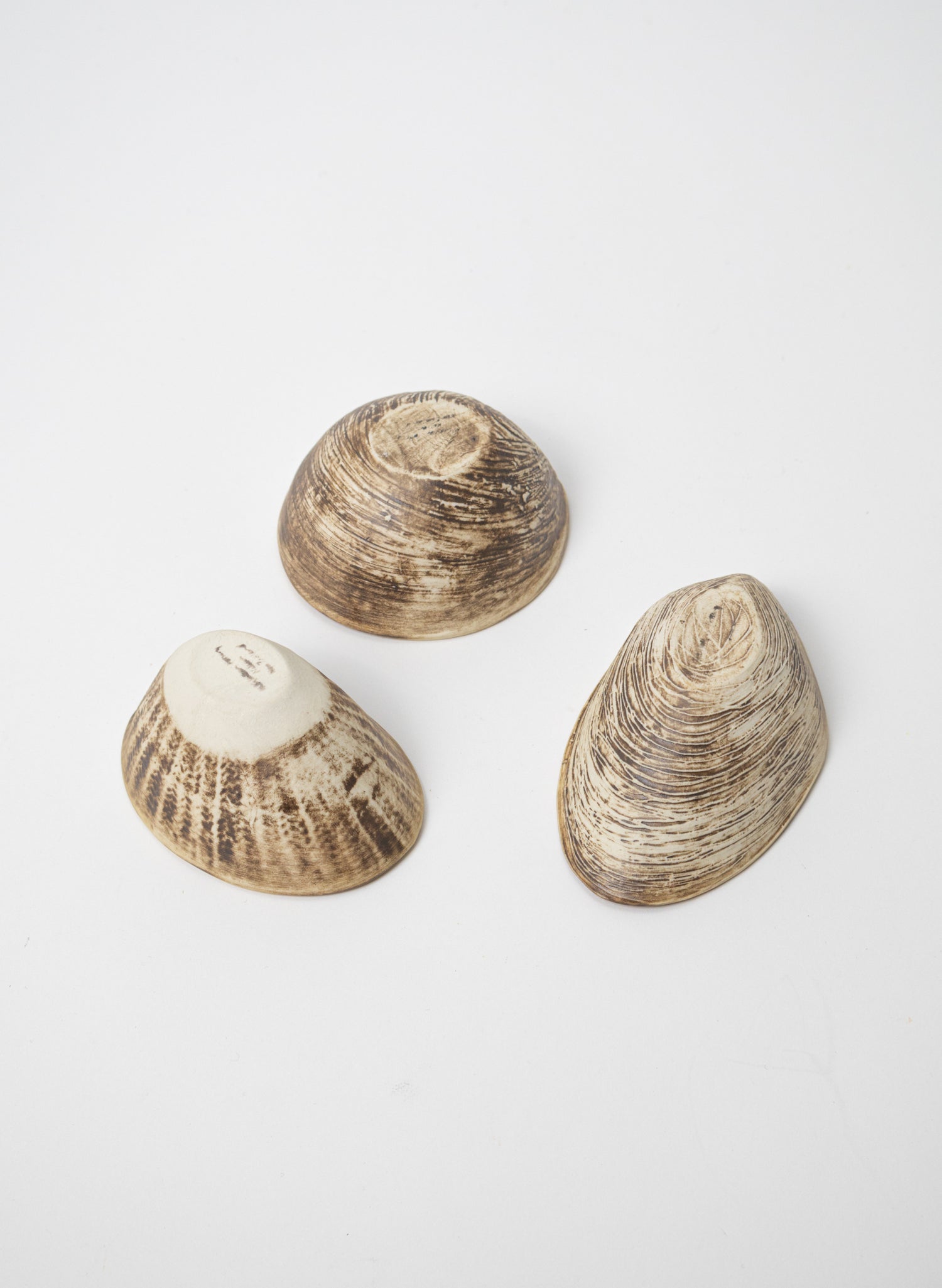 Boxed Set of 3 Shell Dipping Bowls - Green