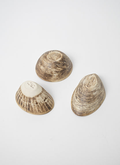 Boxed Set of 3 Shell Dipping Bowls - Green