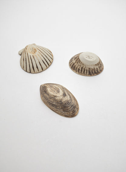 Boxed Set of 3 Shell Dipping Bowls - Green
