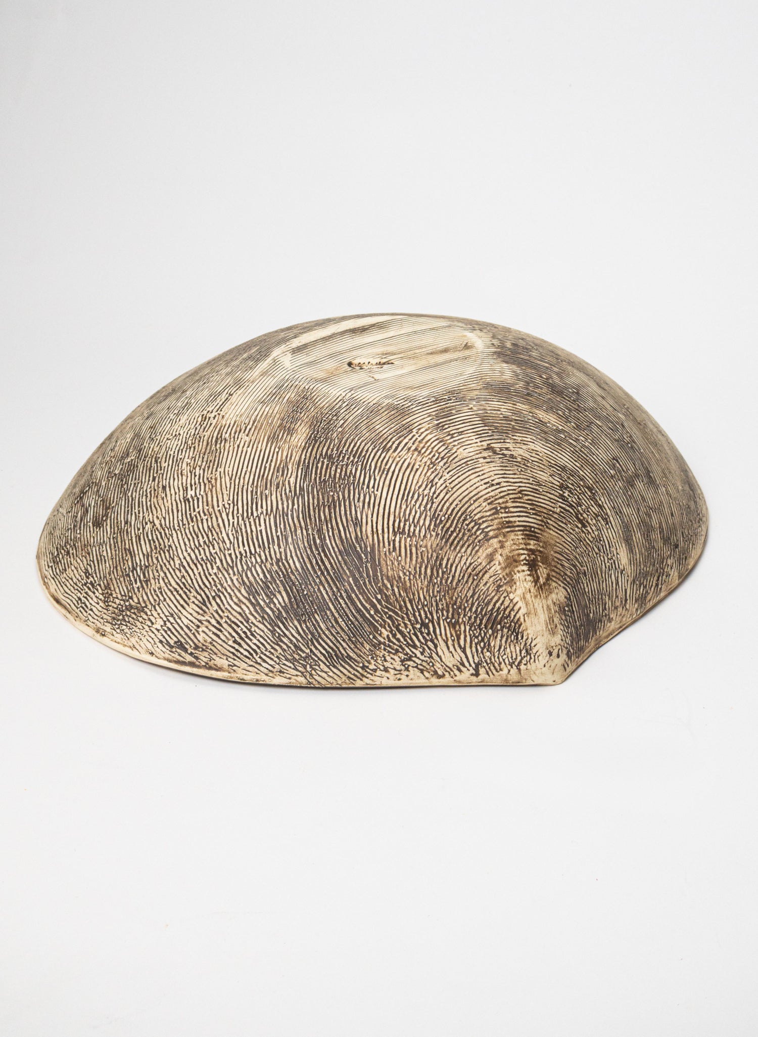 Shell Salad Bowl - Natural