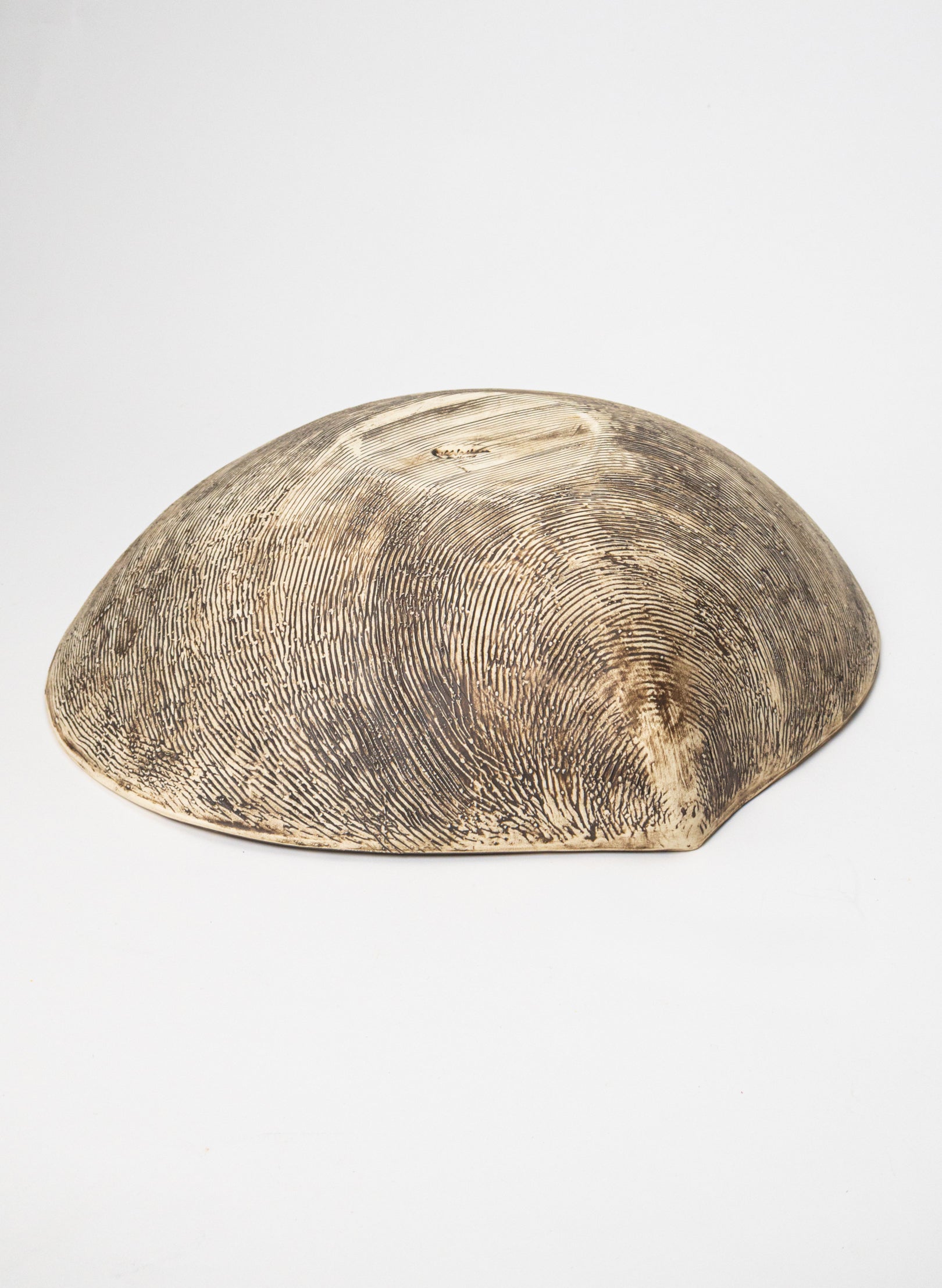 Shell Salad Bowl - Natural