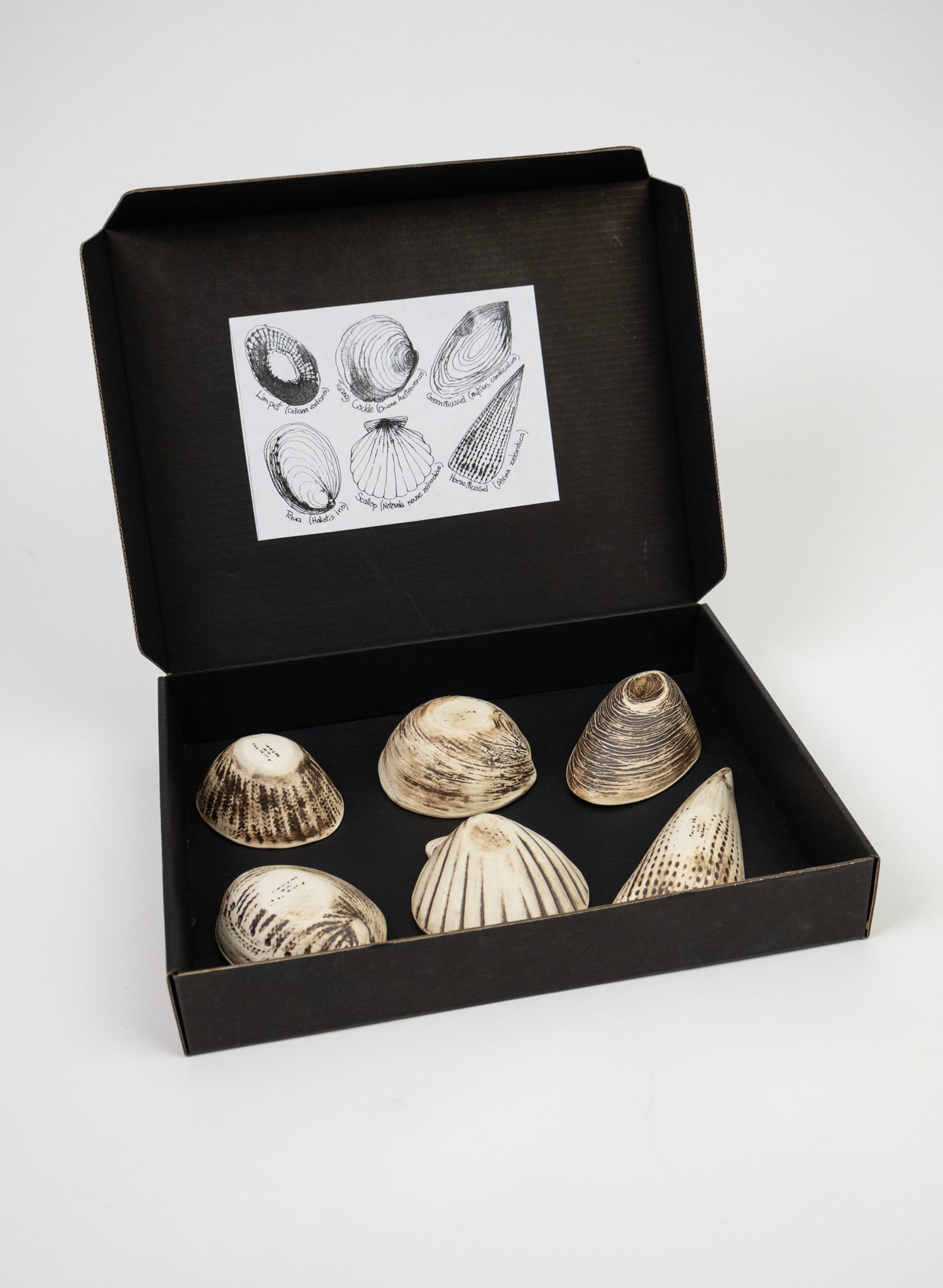 Boxed Set of 6 Shell Dipping Bowls - Black