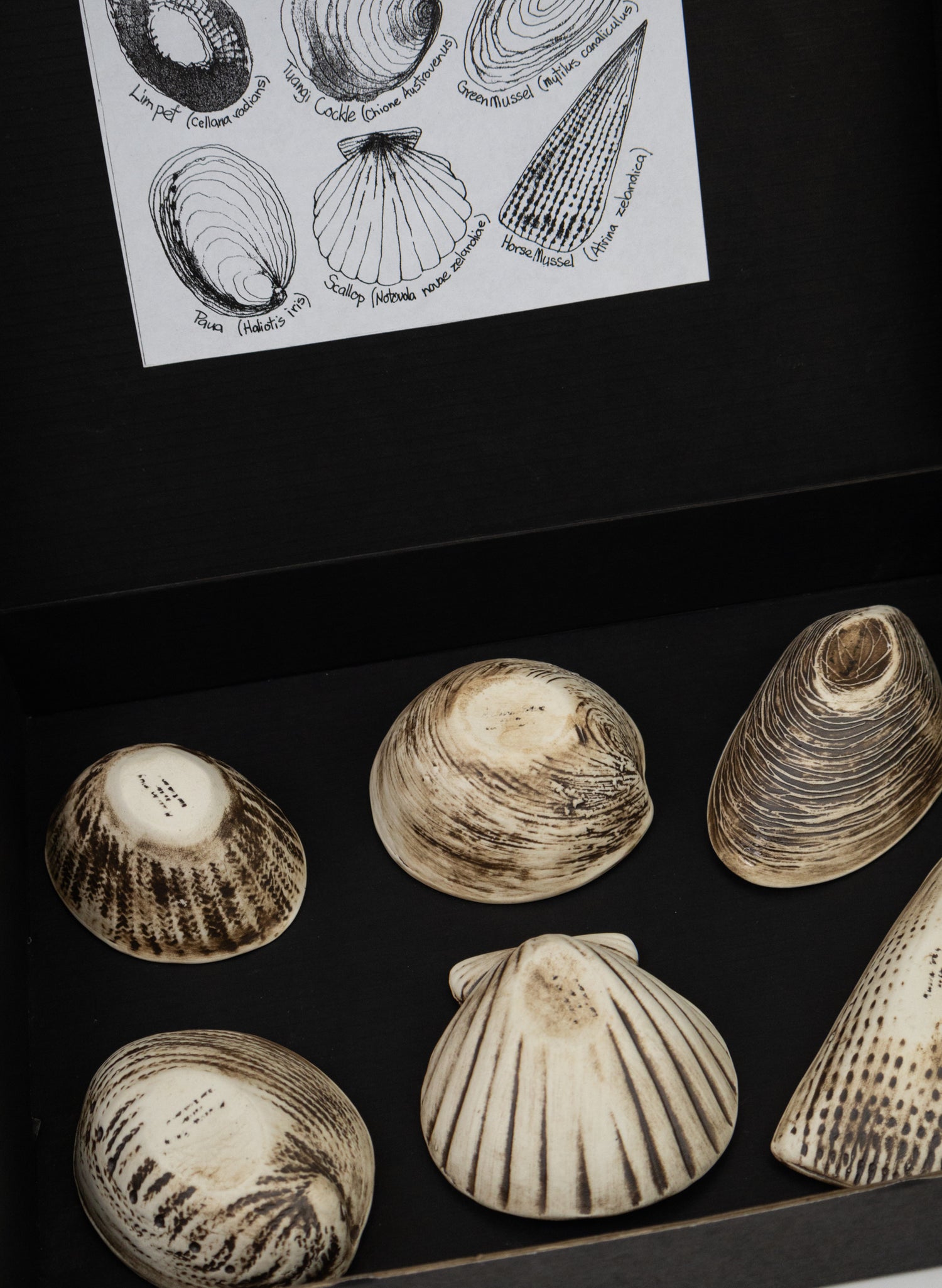 Boxed Set of 6 Shell Dipping Bowls - Black