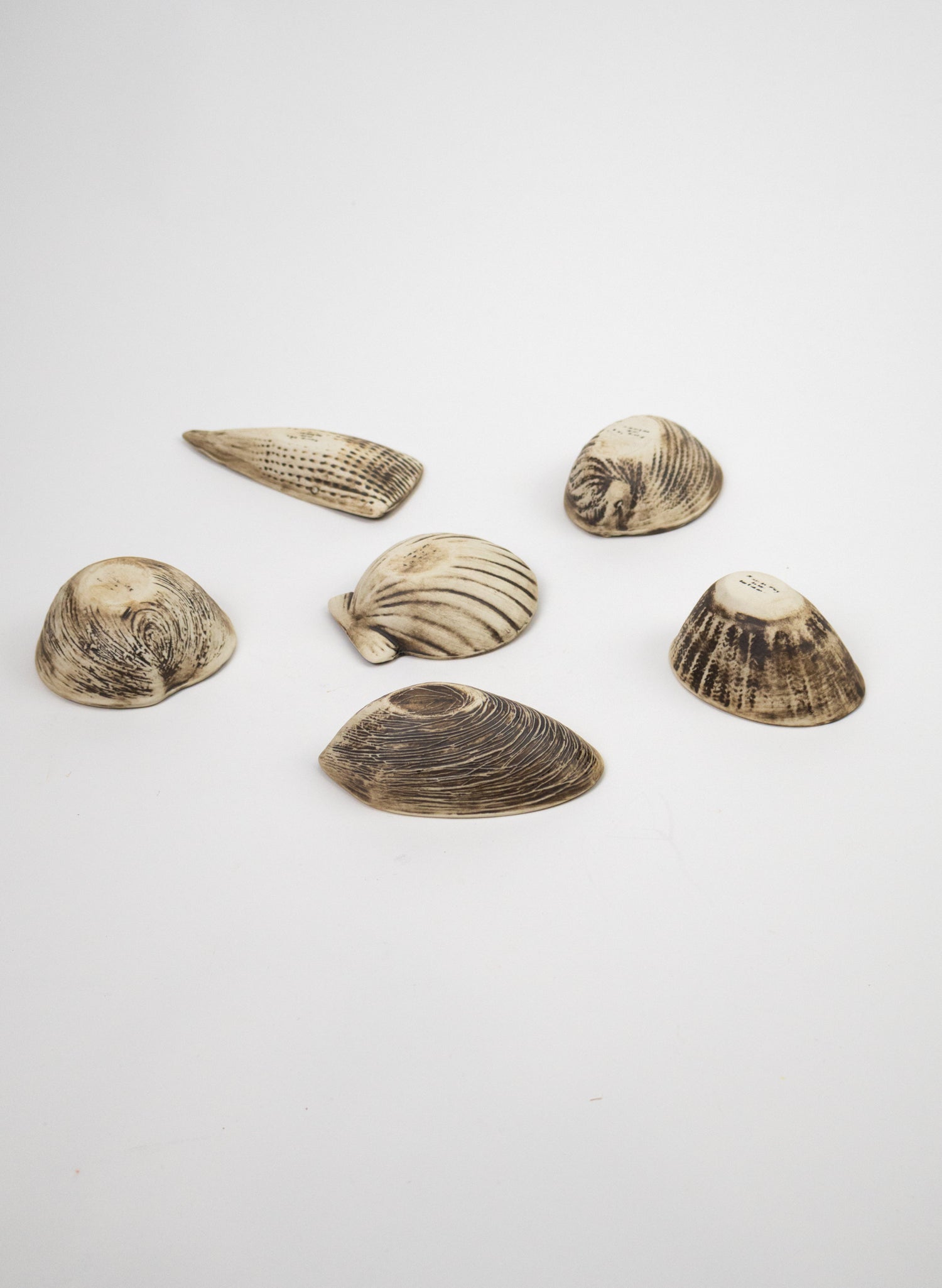 Boxed Set of 6 Shell Dipping Bowls - Black