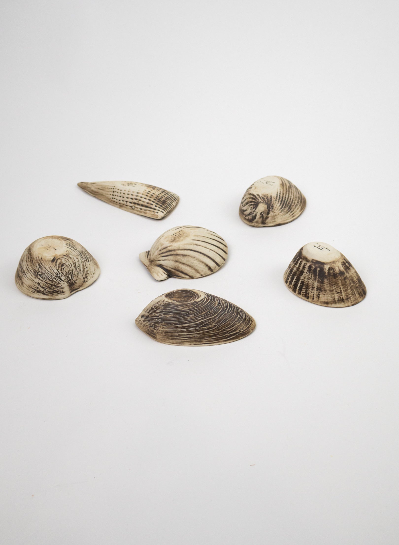 Boxed Set of 6 Shell Dipping Bowls - Black