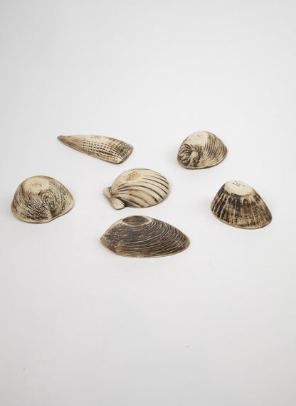 Boxed Set of 6 Shell Dipping Bowls - Black