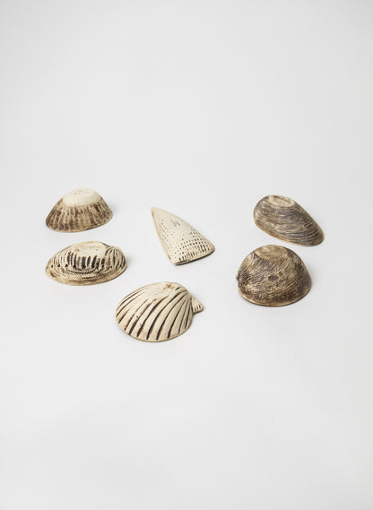 Boxed Set of 6 Shell Dipping Bowls - Aqua