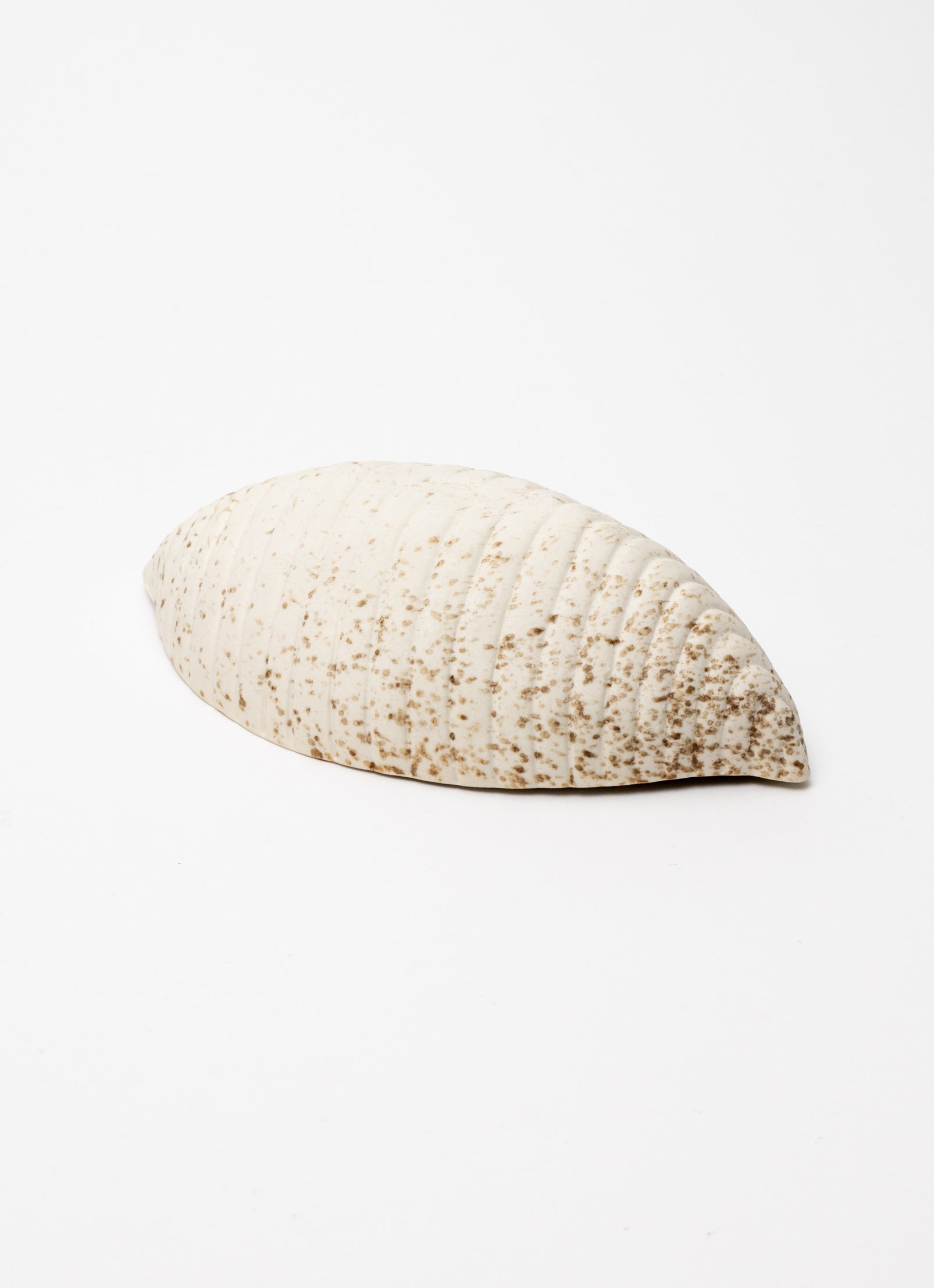Small Seed Pod Dish - Natural