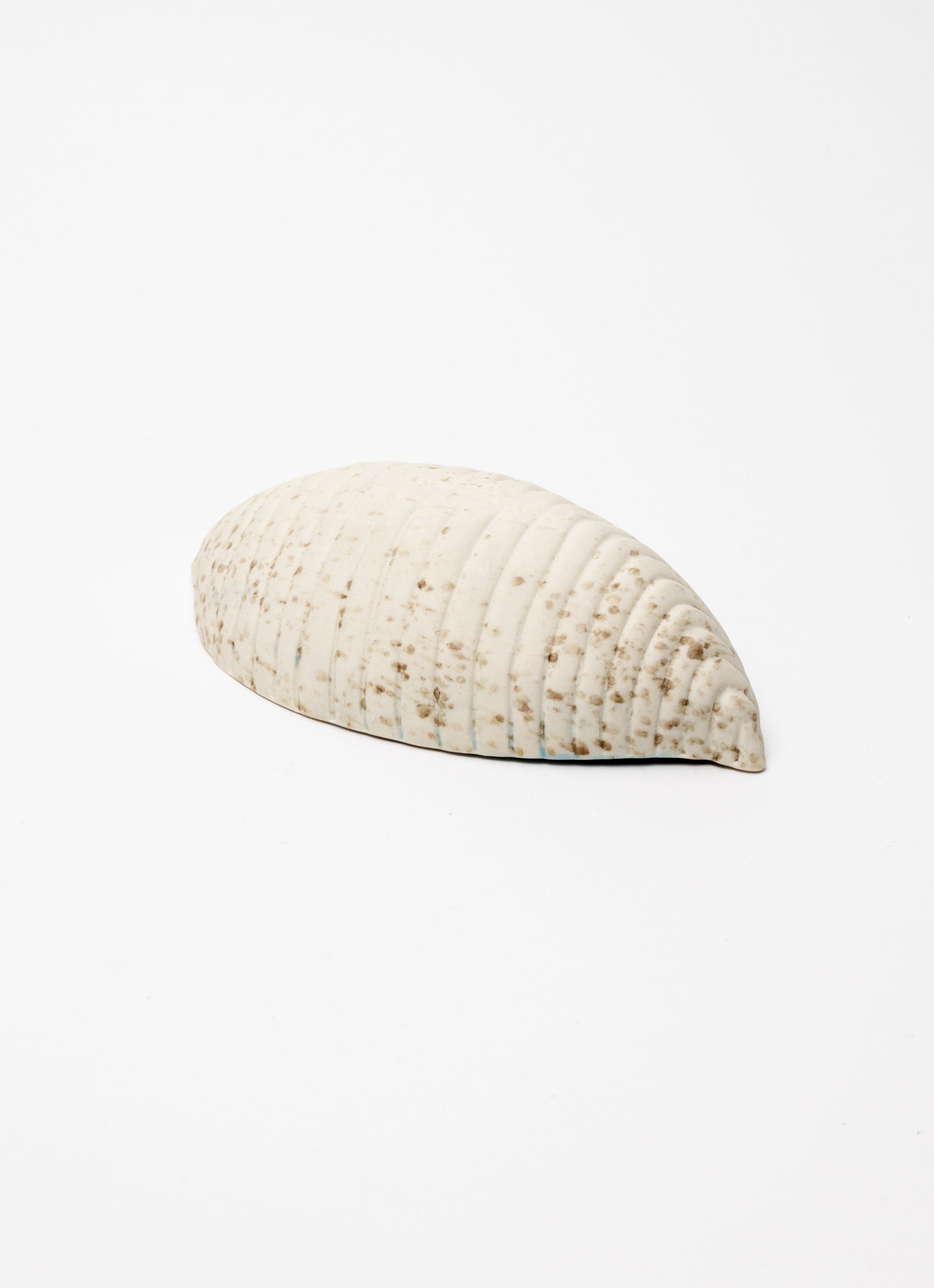 Small Seed Pod Dish - Aqua