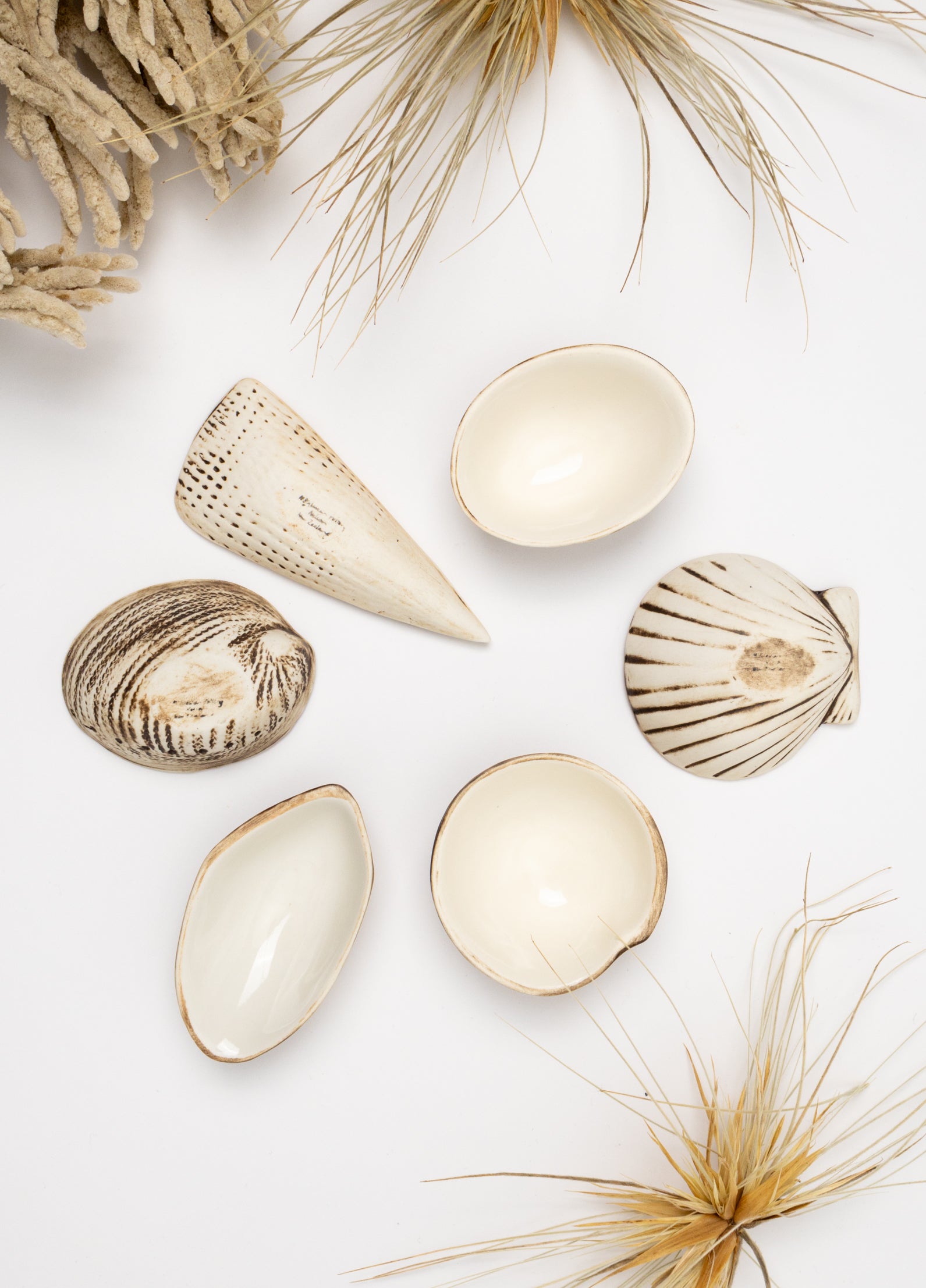 Boxed Set of 6 Shell Dipping Bowls - Natural
