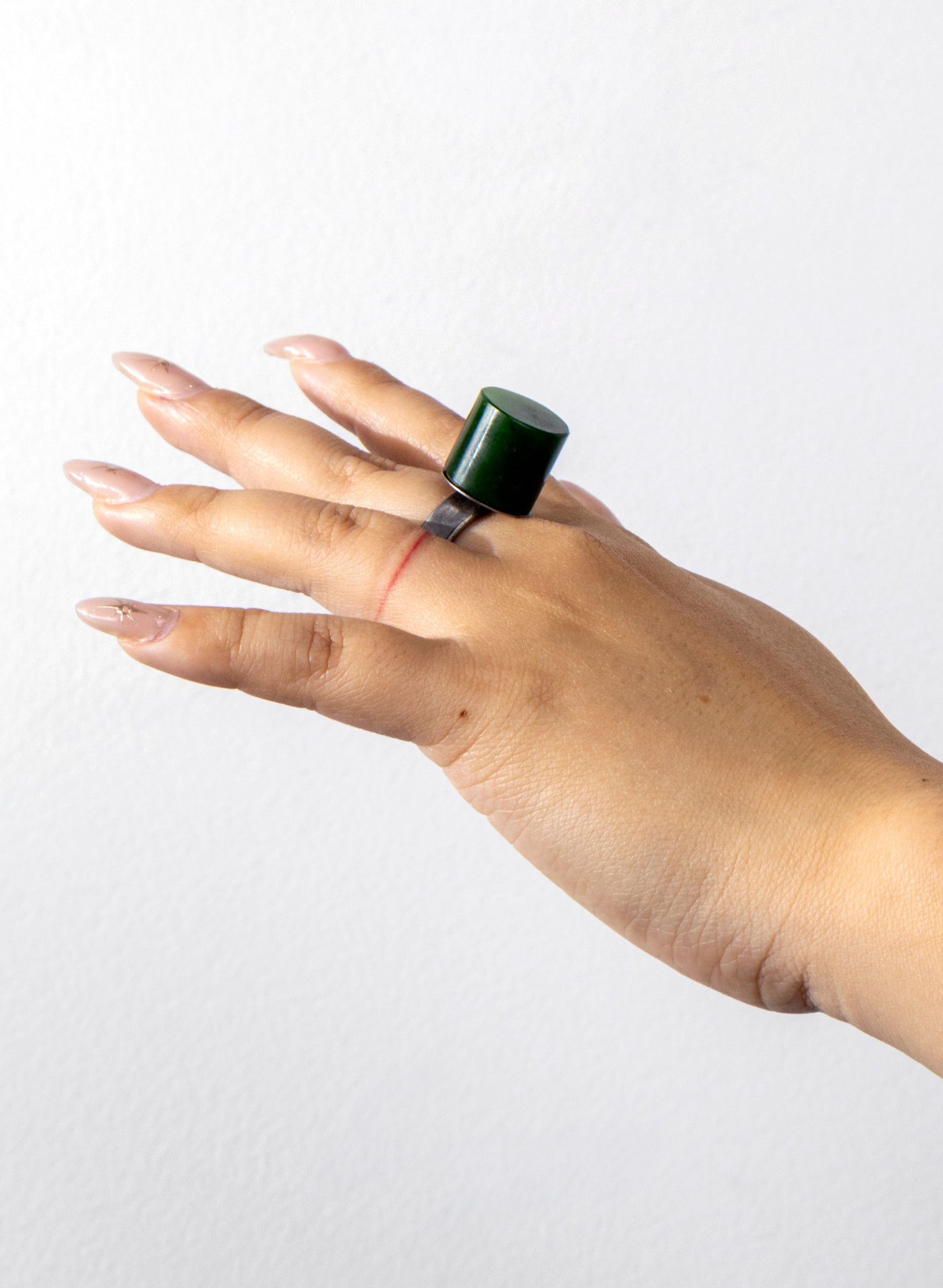Circle Pounamu Titanium Ring