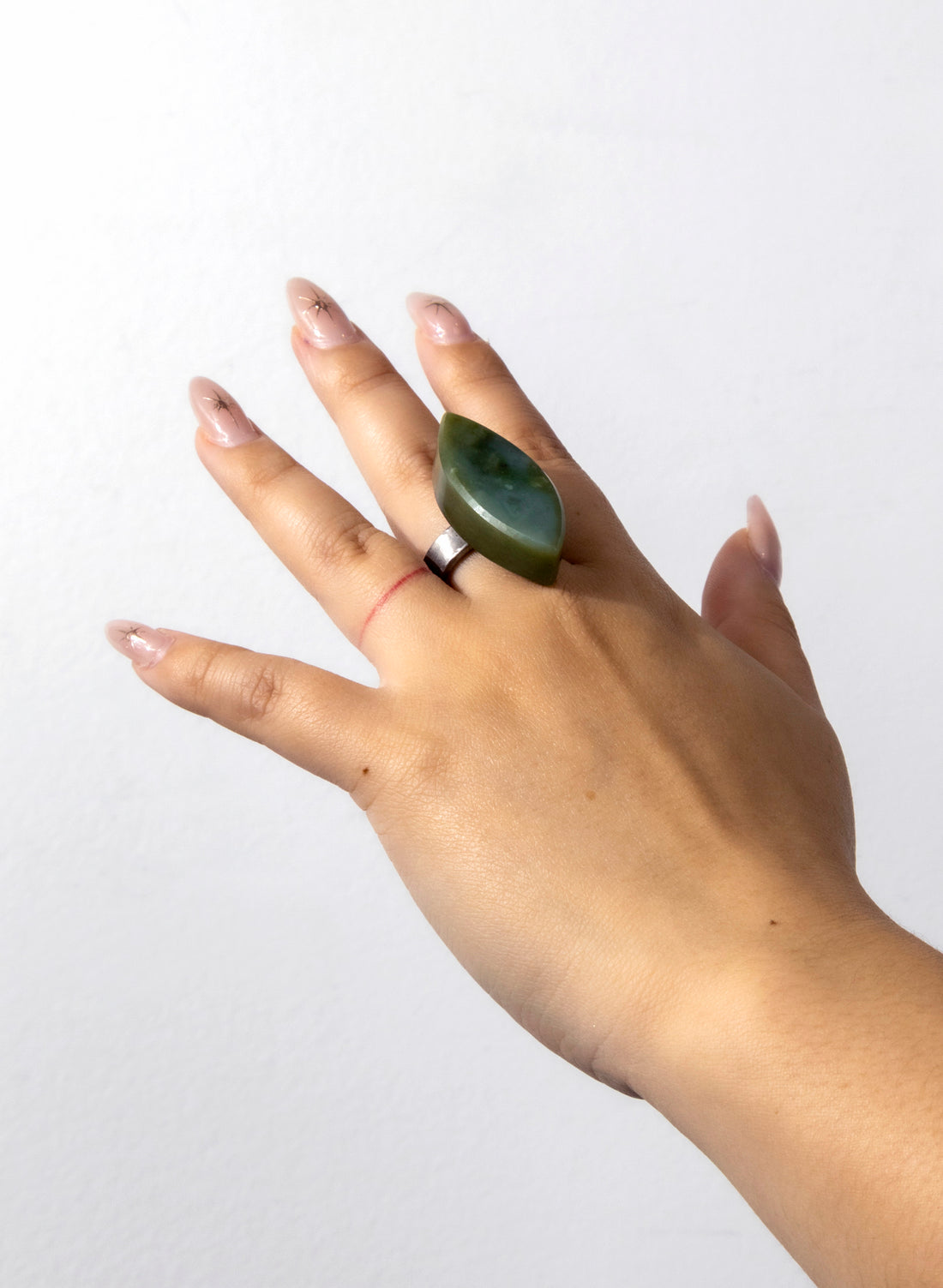 Pounamu Inanga Titanium Ring