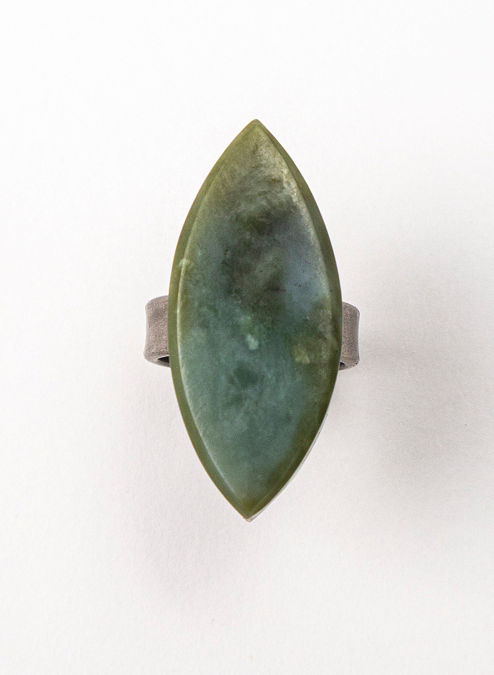 Pounamu Inanga Titanium Ring