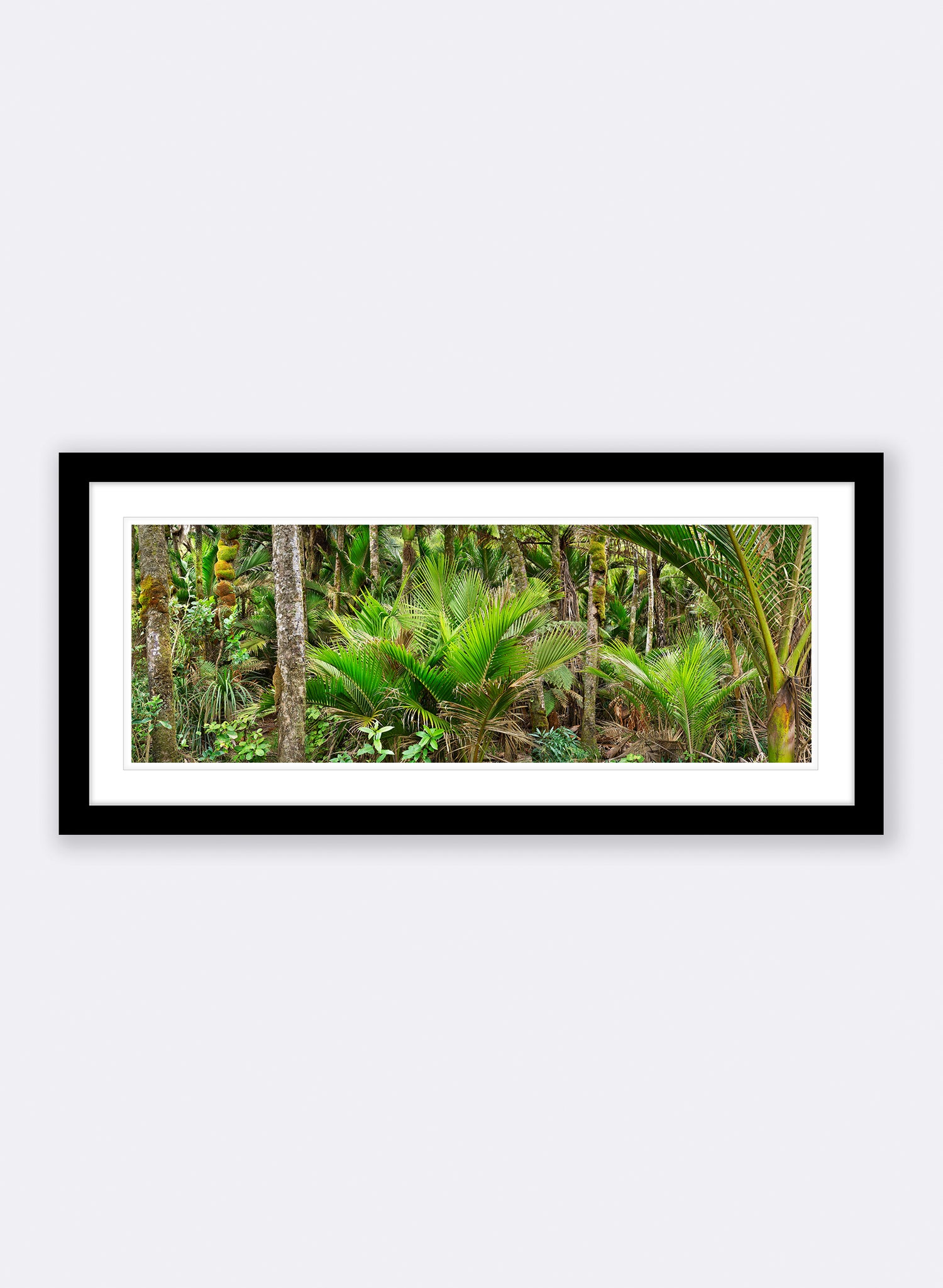 Nikau Central - Photographic Print