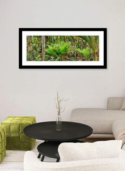 Nikau Central - Photographic Print