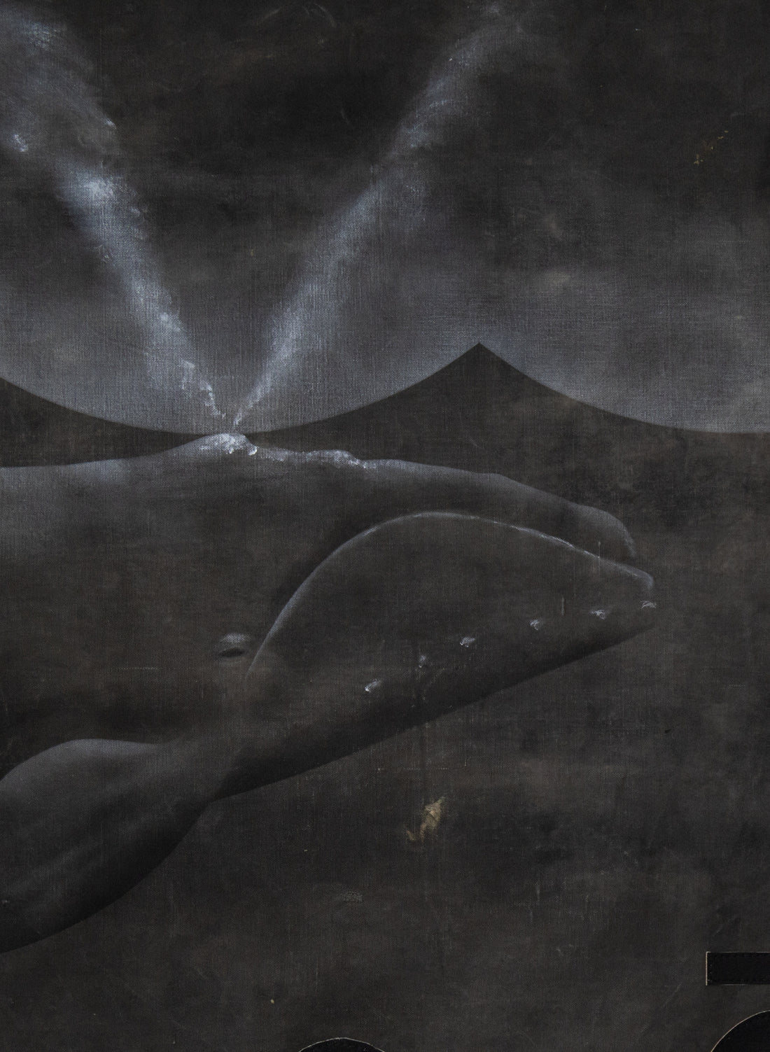 Tarpaulin Whales W4