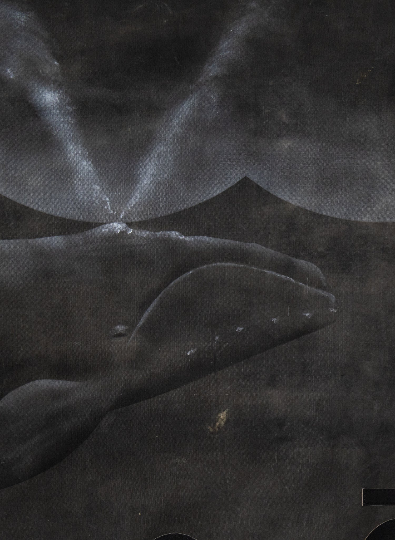 Tarpaulin Whales W4