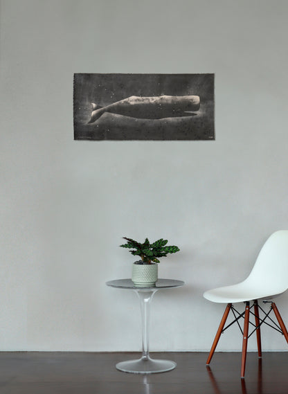 Small Heavy Whale 1/30