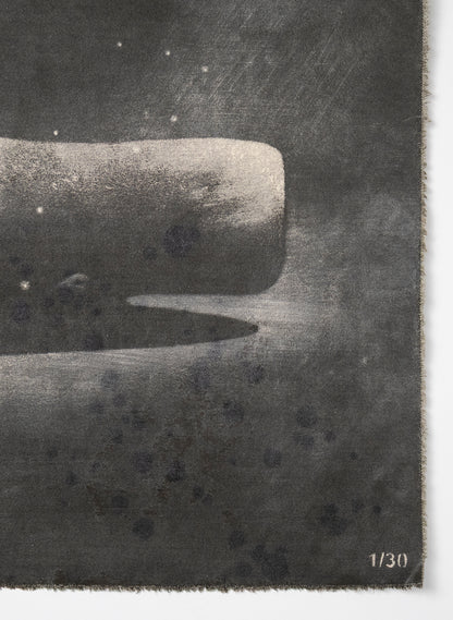 Small Heavy Whale 1/30