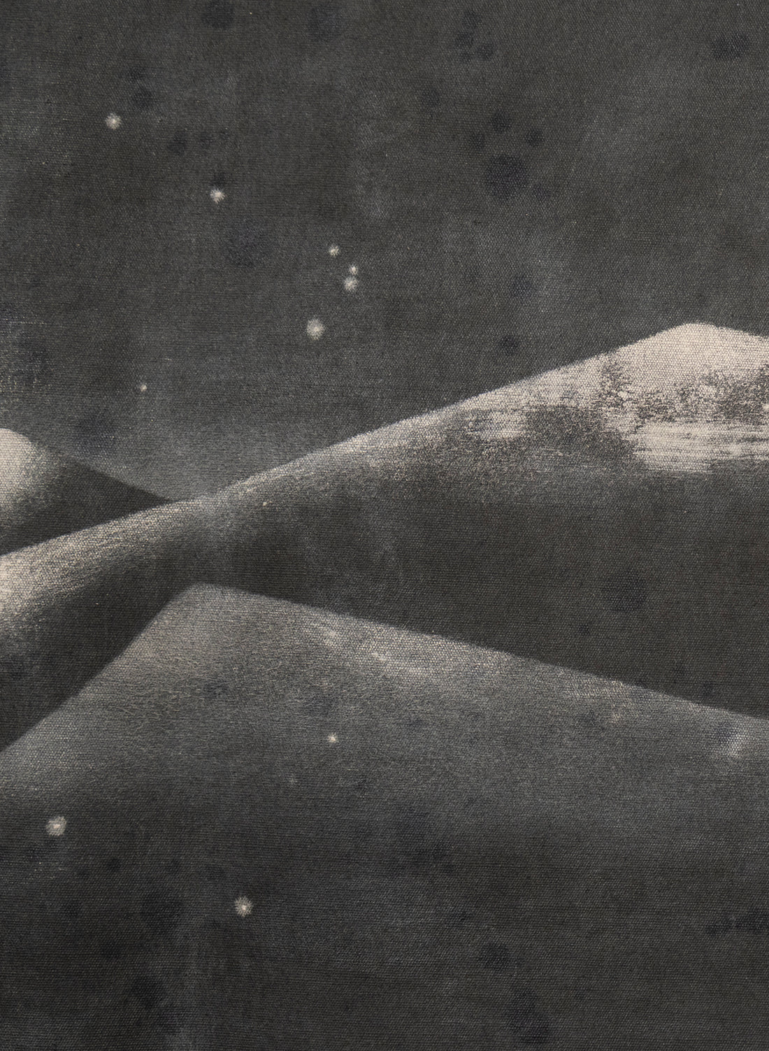 Small Heavy Whale 1/30