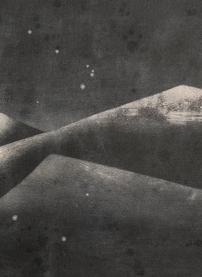 Small Heavy Whale 1/30