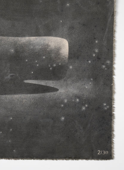 Small Heavy Whale 2/30