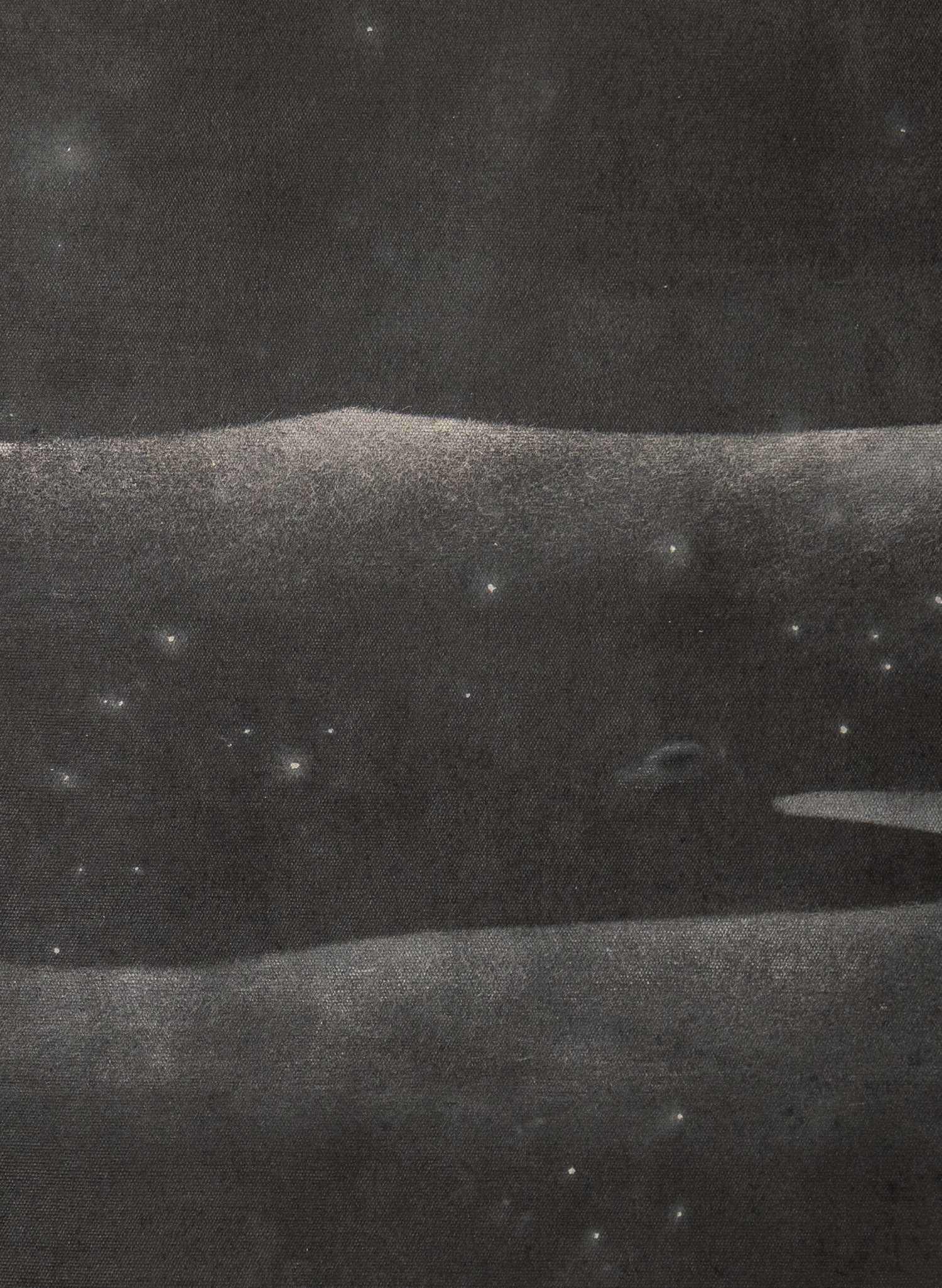 Small Heavy Whale 2/30