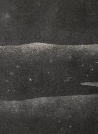 Small Heavy Whale 2/30