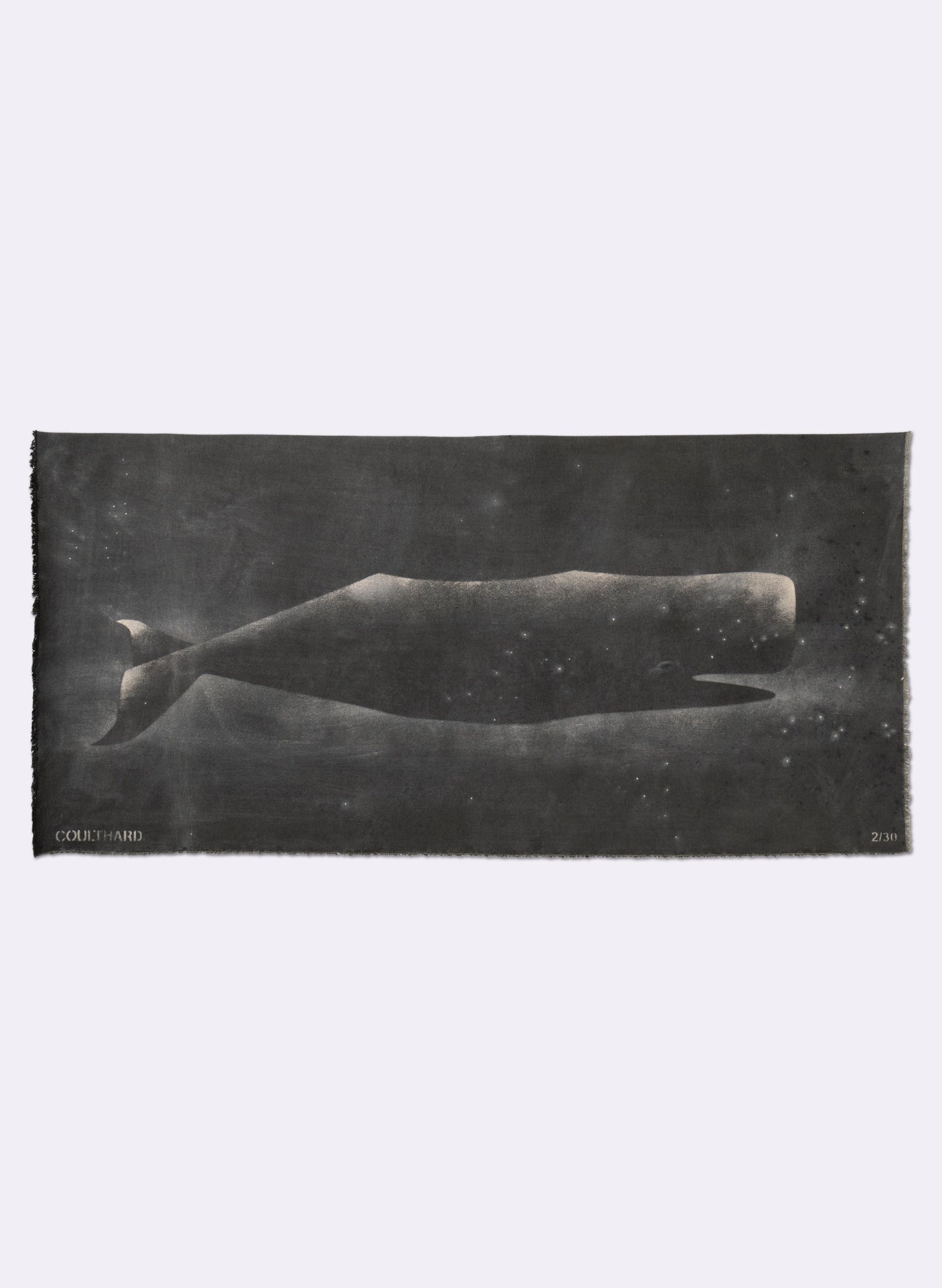 Small Heavy Whale 2/30