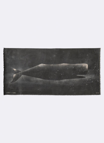 Small Heavy Whale 2/30