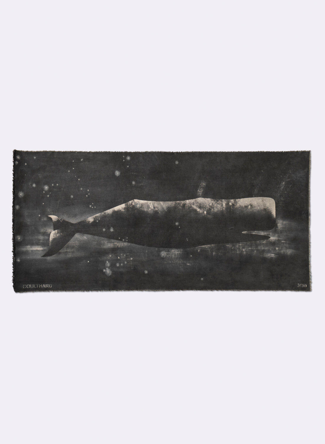 Small Heavy Whale 3/30