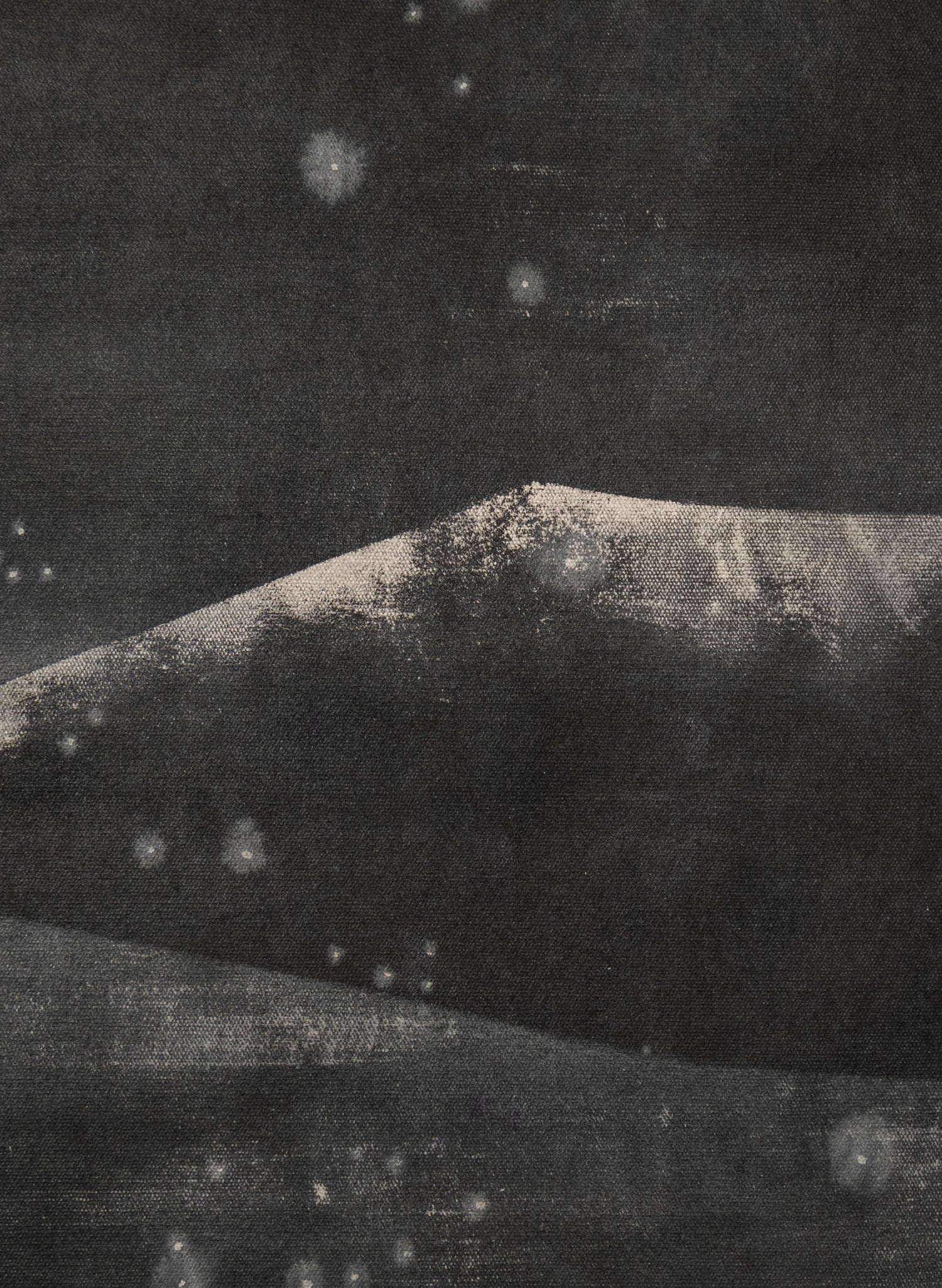 Small Heavy Whale 3/30