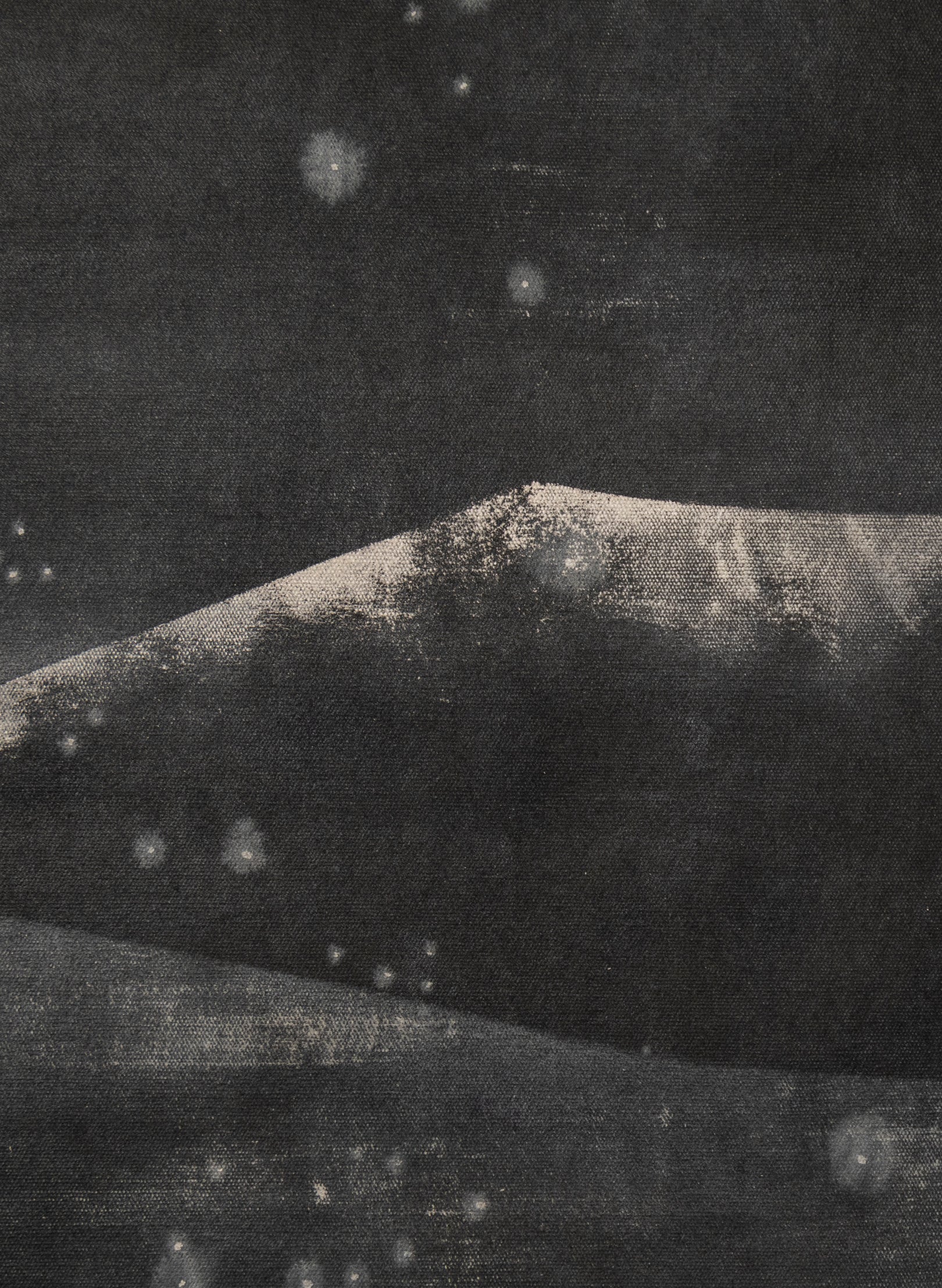 Small Heavy Whale 3/30