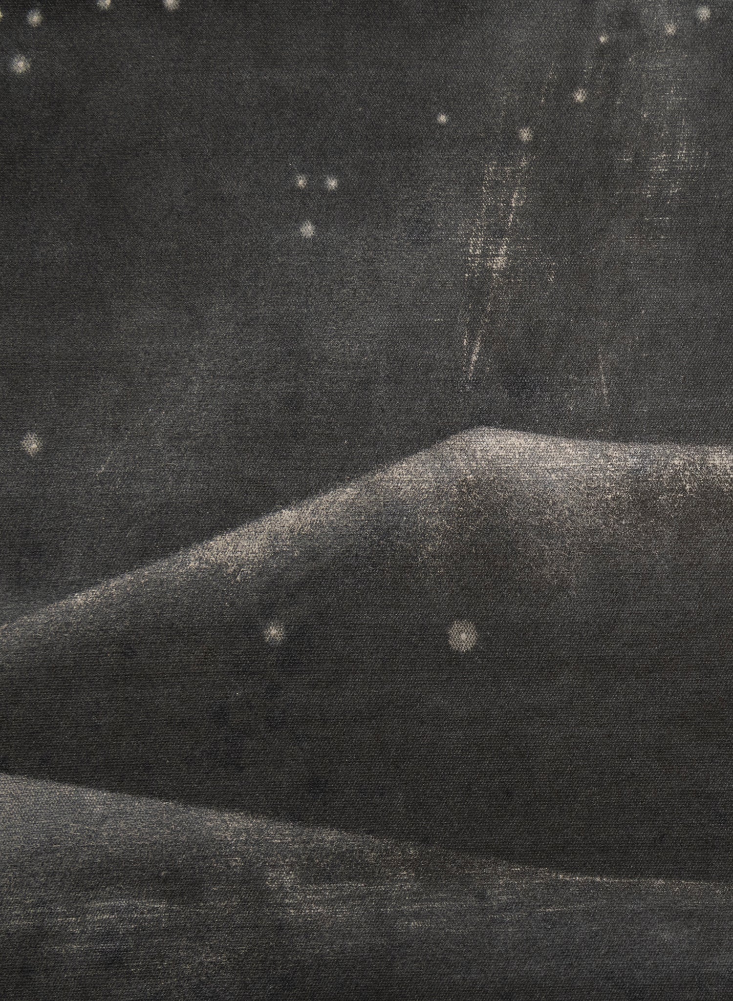 Small Heavy Whale 4/30