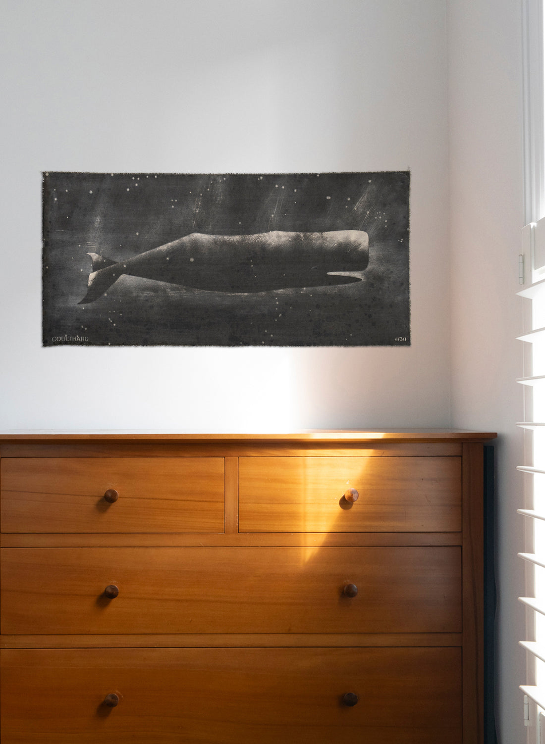 Small Heavy Whale 4/30