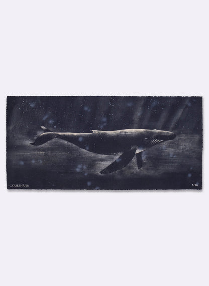 Dark Navy Humpback Whale