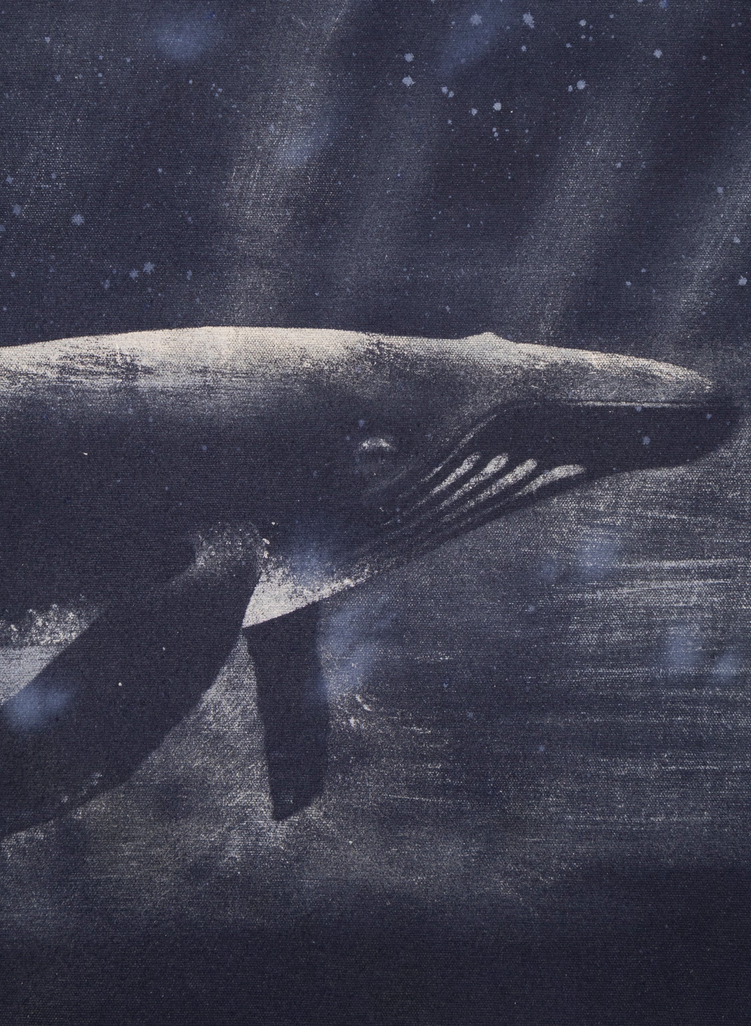 Dark Navy Humpback Whale