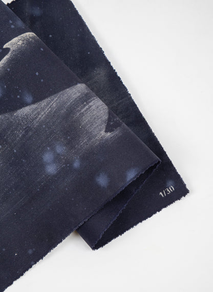 Dark Navy Humpback Whale