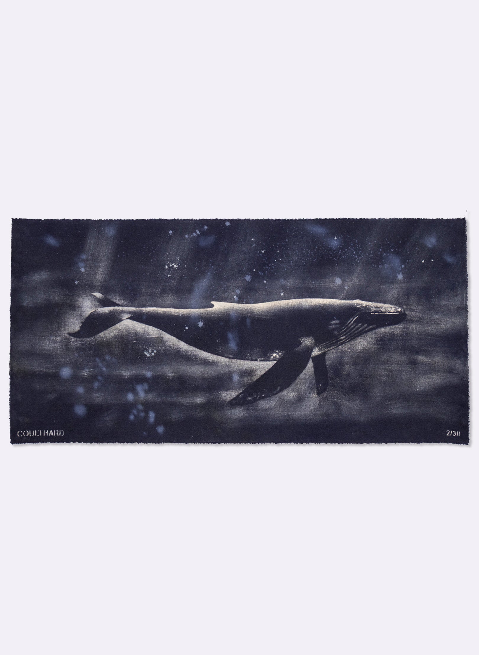 Dark Navy Humpback Whale