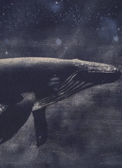 Dark Navy Humpback Whale