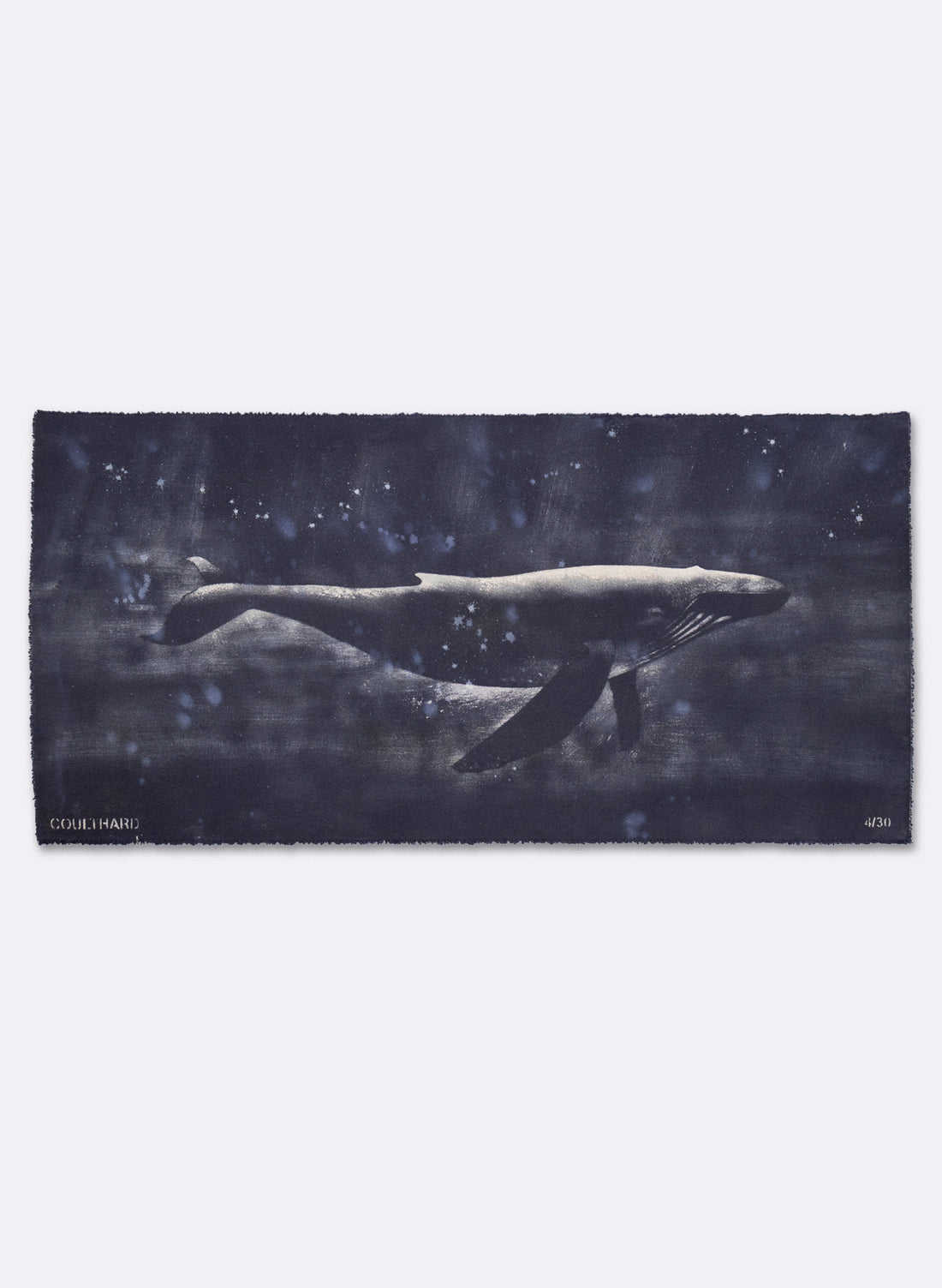 Dark Navy Humpback Whale