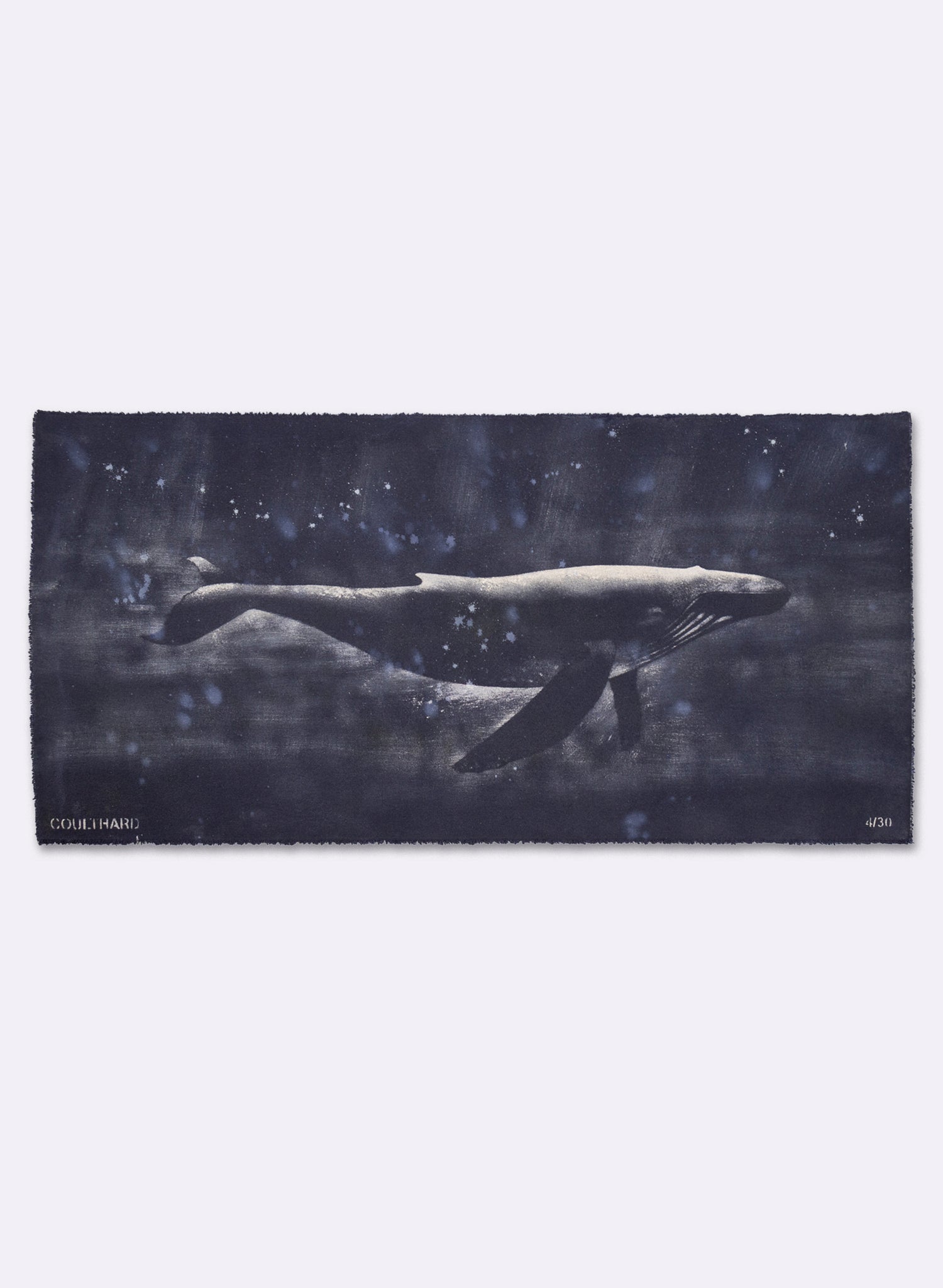Dark Navy Humpback Whale