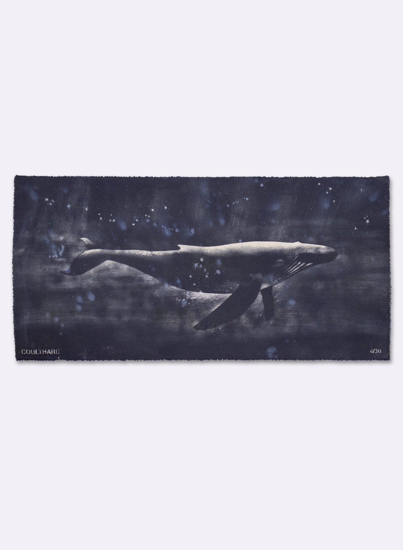 Dark Navy Humpback Whale