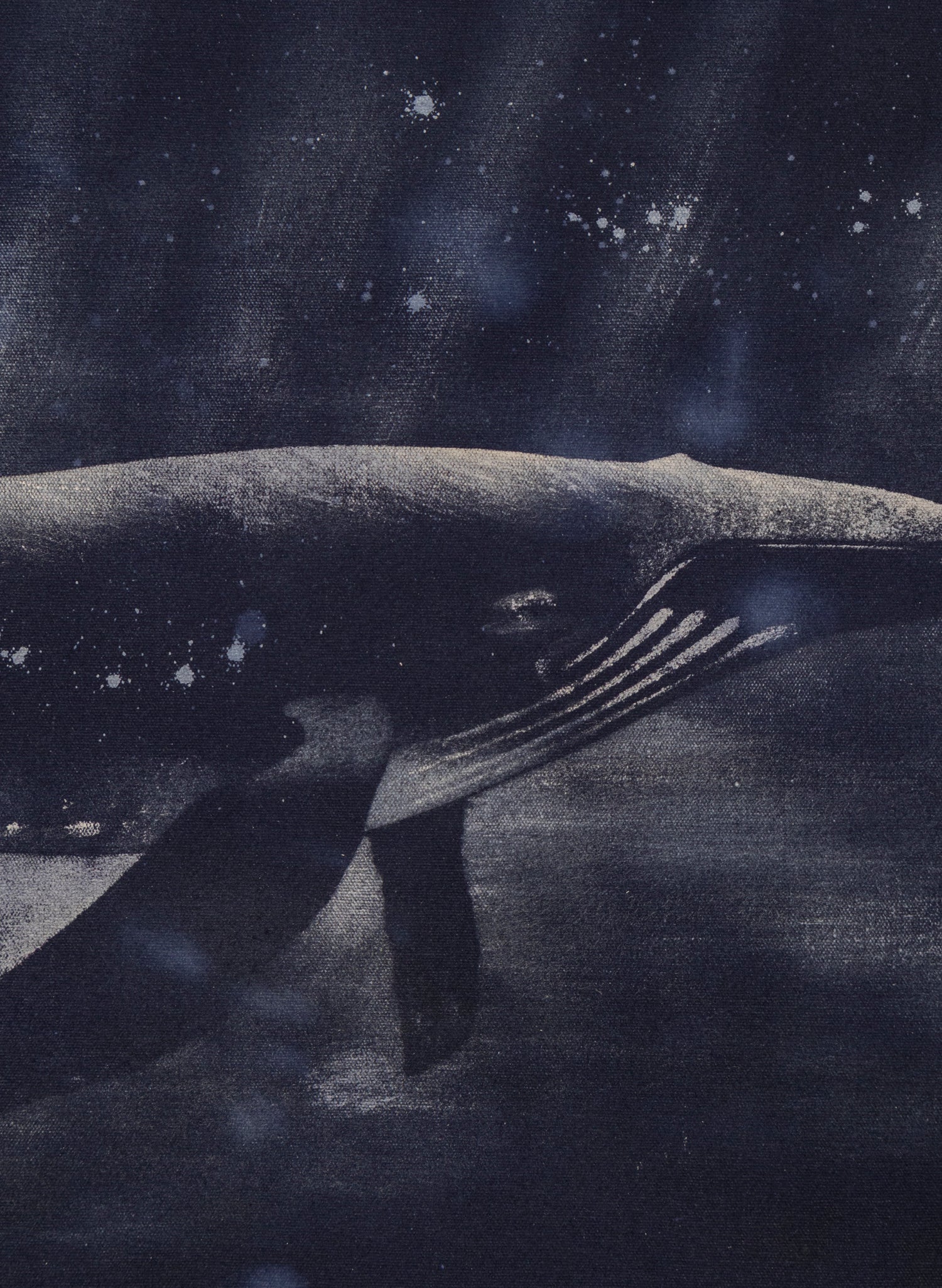 Dark Navy Humpback Whale