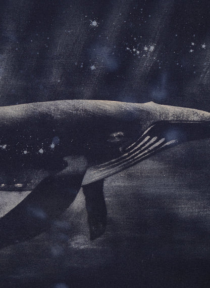 Dark Navy Humpback Whale