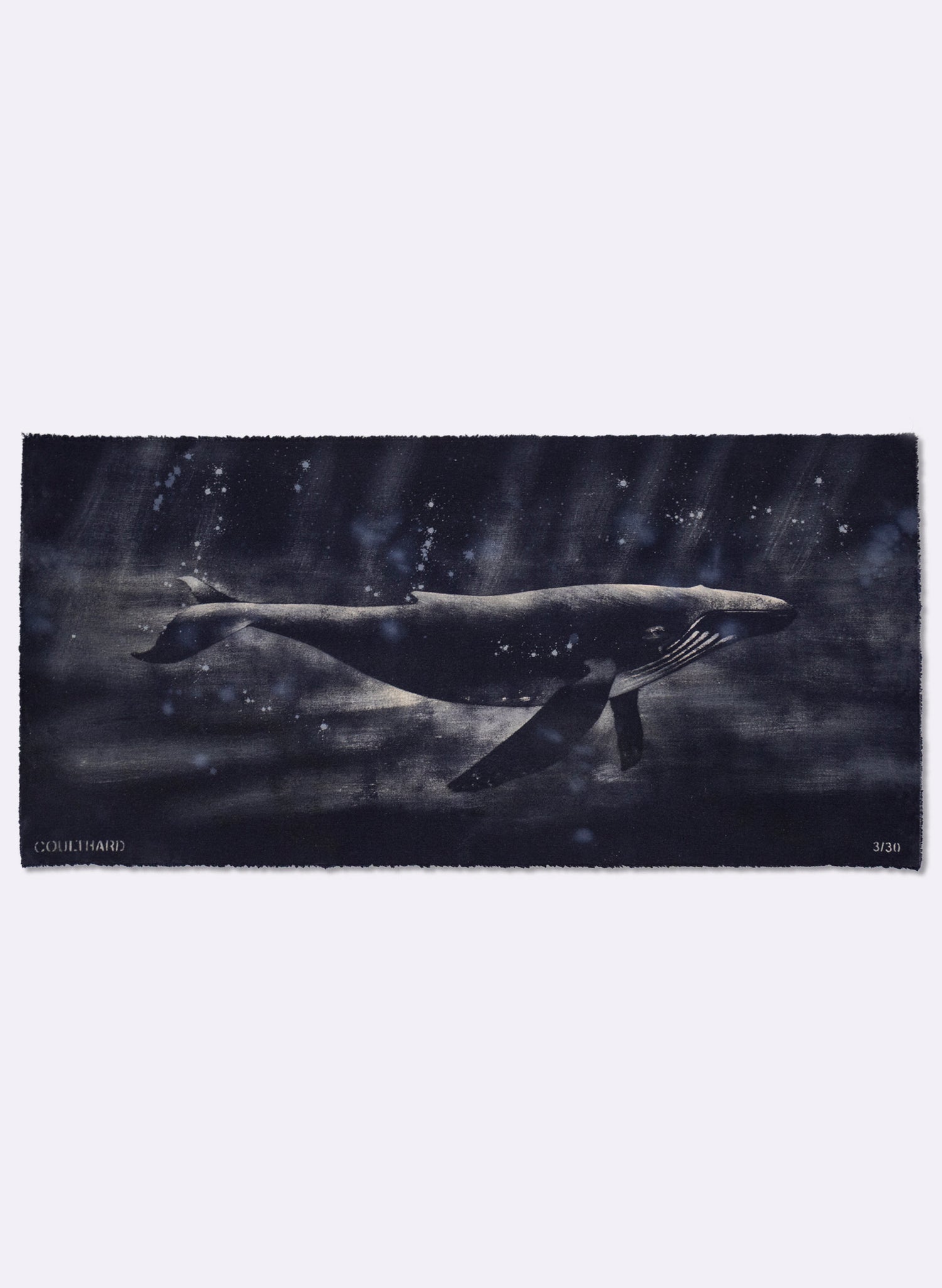 Dark Navy Humpback Whale